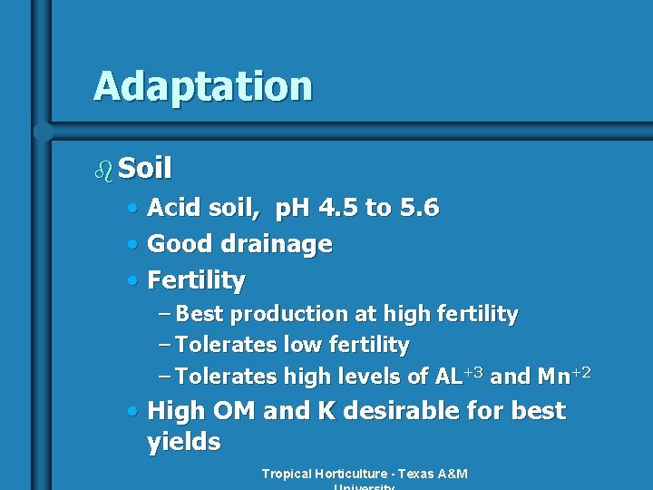 Adaptation b Soil • Acid soil, p. H 4. 5 to 5. 6 •