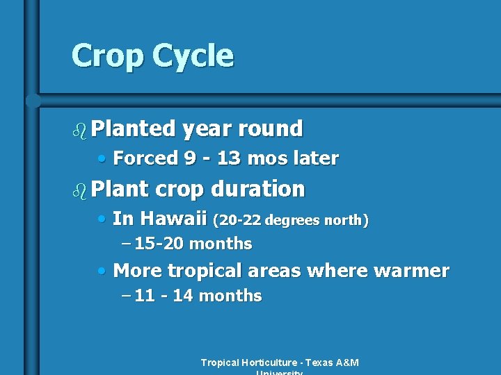 Crop Cycle b Planted year round • Forced 9 - 13 mos later b