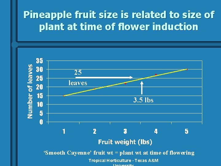 Pineapple fruit size is related to size of plant at time of flower induction