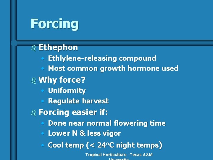 Forcing b Ethephon • Ethlylene-releasing compound • Most common growth hormone used b Why