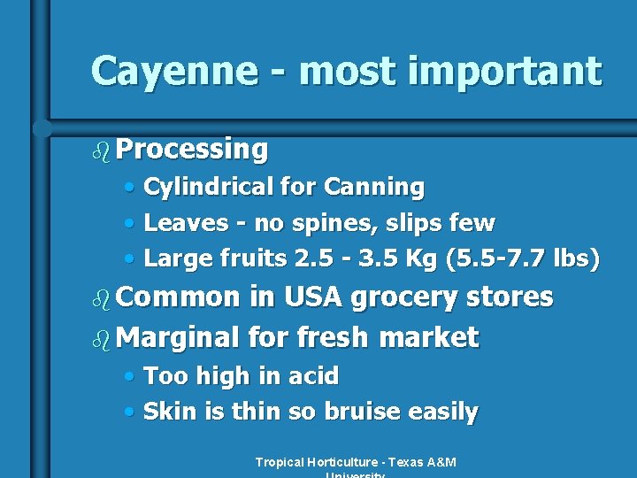 Cayenne - most important b Processing • Cylindrical for Canning • Leaves - no