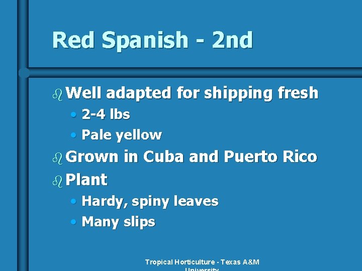 Red Spanish - 2 nd b Well adapted for shipping fresh • 2 -4