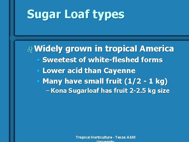 Sugar Loaf types b Widely grown in tropical America • Sweetest of white-fleshed forms