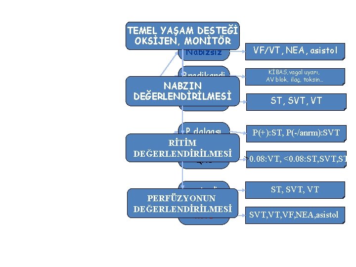 TEMEL YAŞAM DESTEĞİ OKSİJEN, MONİTÖR Nabızsız Bradikardi NABZIN DEĞERLENDİRİLMESİ Taşikardi P dalgası RİTİM DEĞERLENDİRİLMESİ