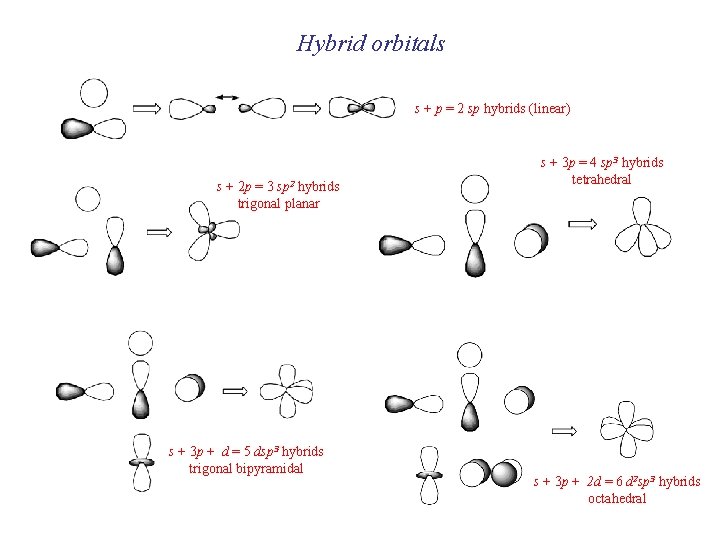 Hybrid orbitals s + p = 2 sp hybrids (linear) s + 2 p