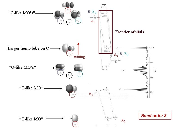 B 1 B 2 “C-like MO’s” A 1 Frontier orbitals Larger homo lobe on