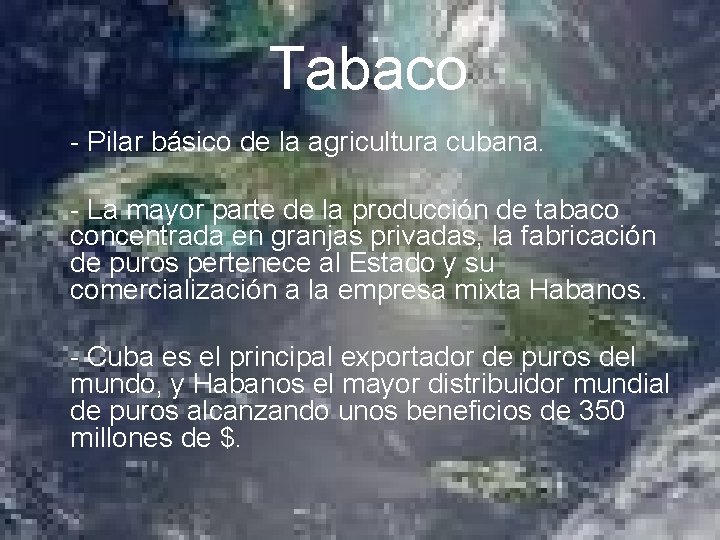  Tabaco - Pilar básico de la agricultura cubana. - La mayor parte de