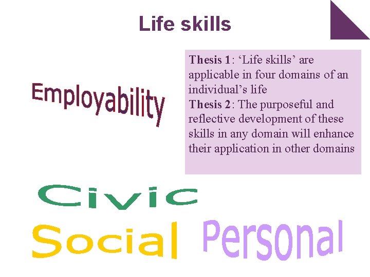 Life skills Thesis 1: ‘Life skills’ are applicable in four domains of an individual’s