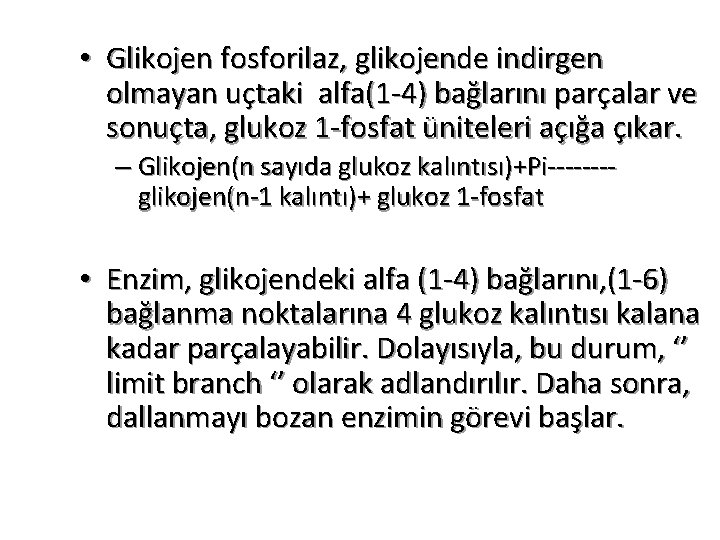  • Glikojen fosforilaz, glikojende indirgen olmayan uçtaki alfa(1 -4) bağlarını parçalar ve sonuçta,