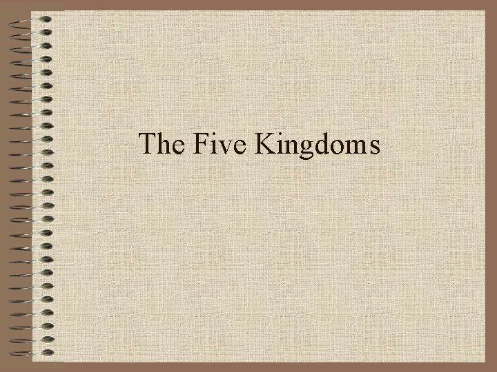 The Five Kingdoms 