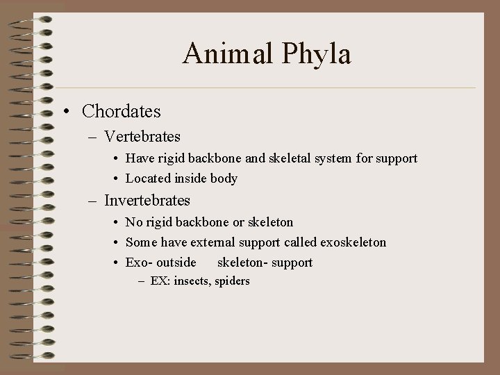 Animal Phyla • Chordates – Vertebrates • Have rigid backbone and skeletal system for