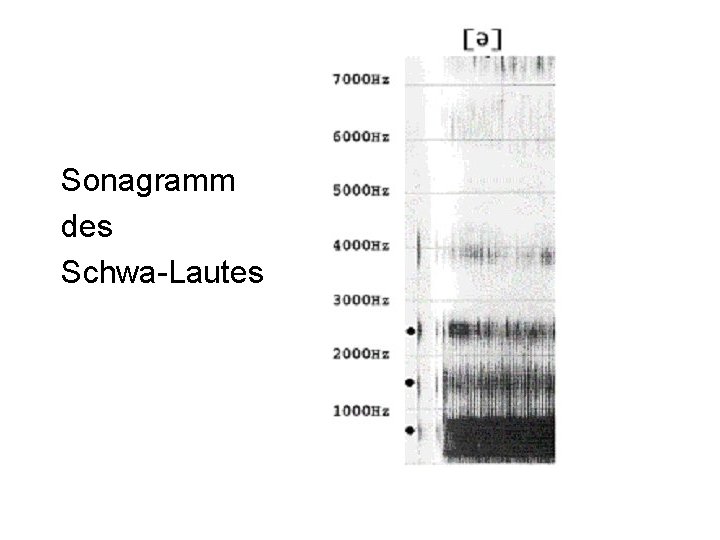 Sonagramm des Schwa-Lautes 