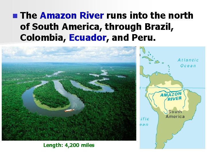 n The Amazon River runs into the north of South America, through Brazil, Colombia,