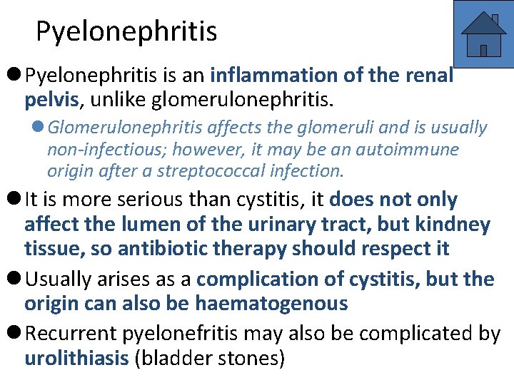 Pyelonephritis l Pyelonephritis is an inflammation of the renal pelvis, unlike glomerulonephritis. l Glomerulonephritis