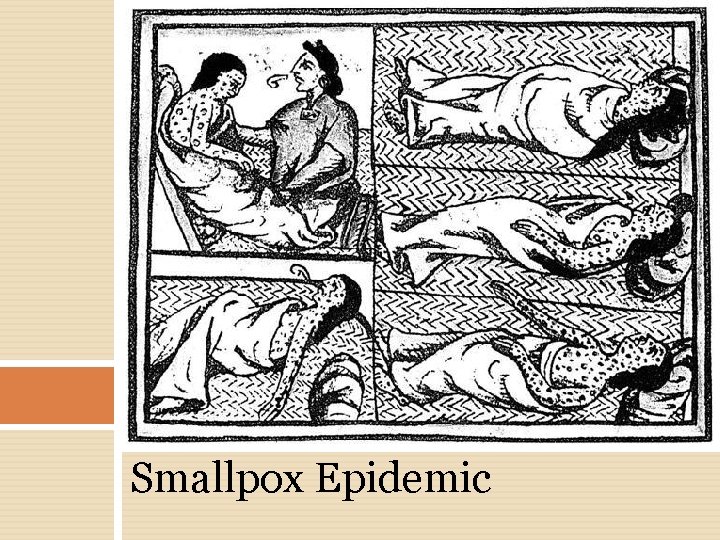 Smallpox Epidemic 