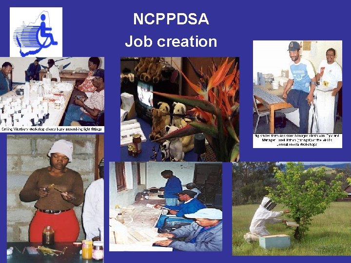 NCPPDSA Job creation 