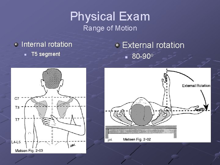 Physical Exam Range of Motion Internal rotation n T 5 segment External rotation n