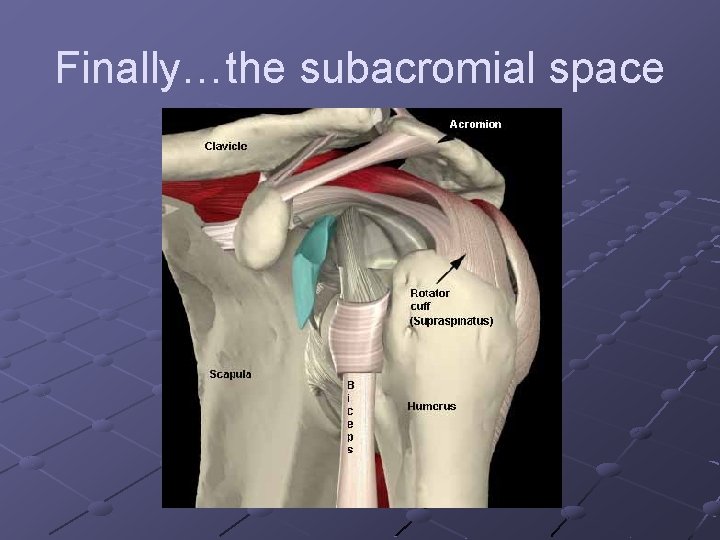 Finally…the subacromial space 