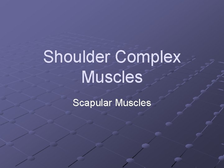 Shoulder Complex Muscles Scapular Muscles 