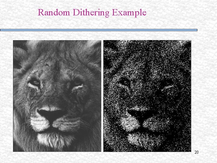 Random Dithering Example 20 Random Dithering Example 20