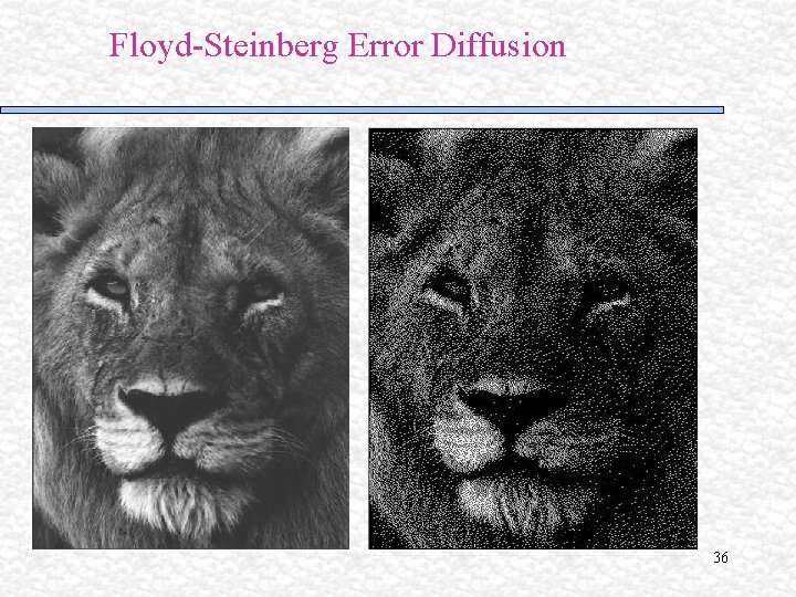 Floyd-Steinberg Error Diffusion 36 Floyd-Steinberg Error Diffusion 36