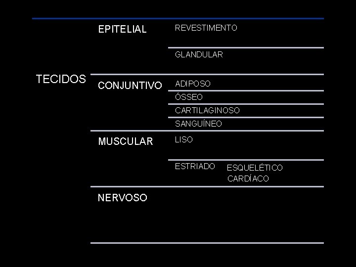 EPITELIAL REVESTIMENTO GLANDULAR TECIDOS CONJUNTIVO ADIPOSO ÓSSEO CARTILAGINOSO SANGUÍNEO MUSCULAR LISO ESTRIADO NERVOSO ESQUELÉTICO