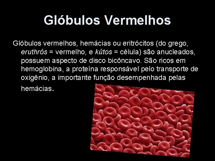 Glóbulos Vermelhos Glóbulos vermelhos, hemácias ou eritrócitos (do grego, eruthrós = vermelho, e kútos