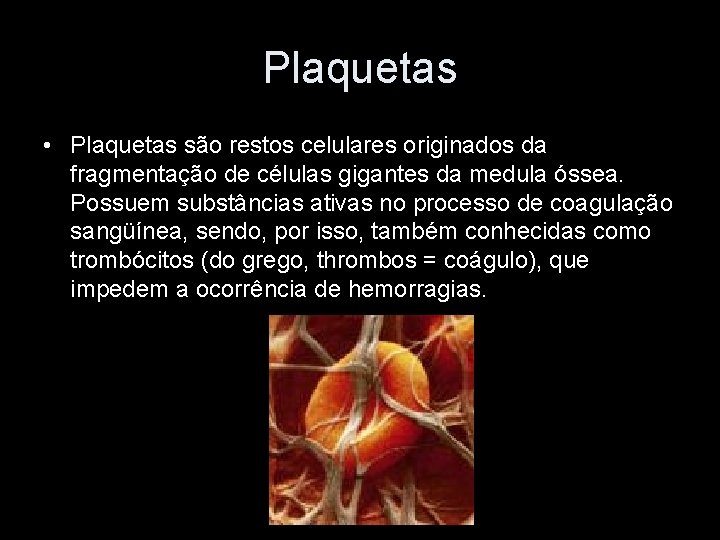 Plaquetas • Plaquetas são restos celulares originados da fragmentação de células gigantes da medula