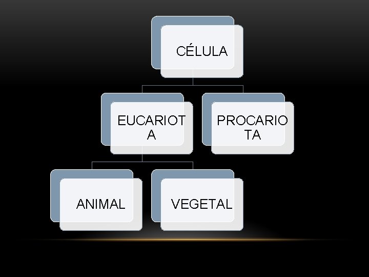 CÉLULA EUCARIOT A ANIMAL PROCARIO TA VEGETAL 