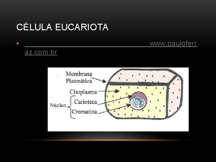 CÉLULA EUCARIOTA • www. pauloferr az. com. br 