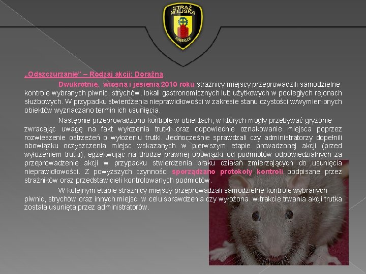 „Odszczurzanie” – Rodzaj akcji: Doraźna Dwukrotnie, wiosną i jesienią 2010 roku strażnicy miejscy przeprowadzili „Odszczurzanie” – Rodzaj akcji: Doraźna Dwukrotnie, wiosną i jesienią 2010 roku strażnicy miejscy przeprowadzili