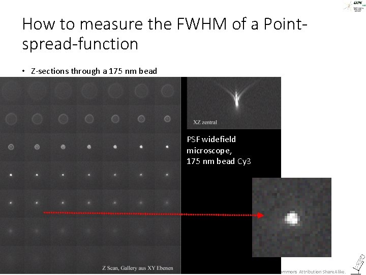 How to measure the FWHM of a Pointspread-function • Z-sections through a 175 nm