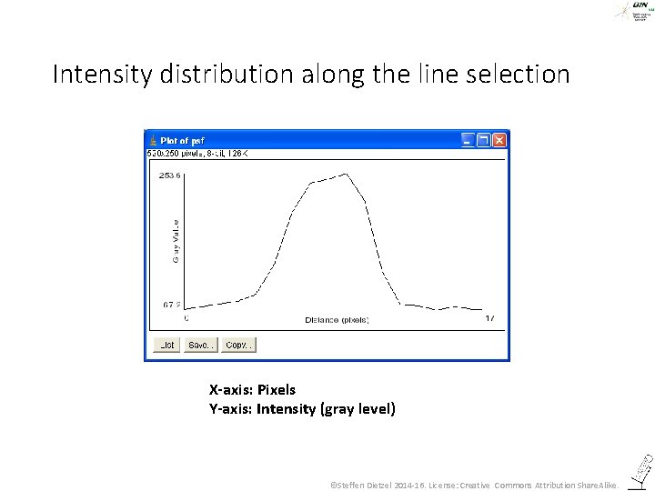 Intensity distribution along the line selection X-axis: Pixels Y-axis: Intensity (gray level) ©Steffen Dietzel
