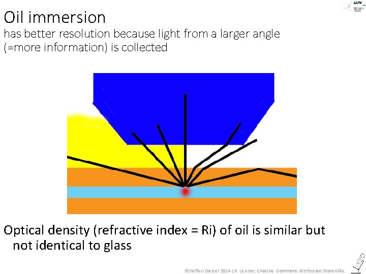 Oil immersion has better resolution because light from a larger angle (=more information) is