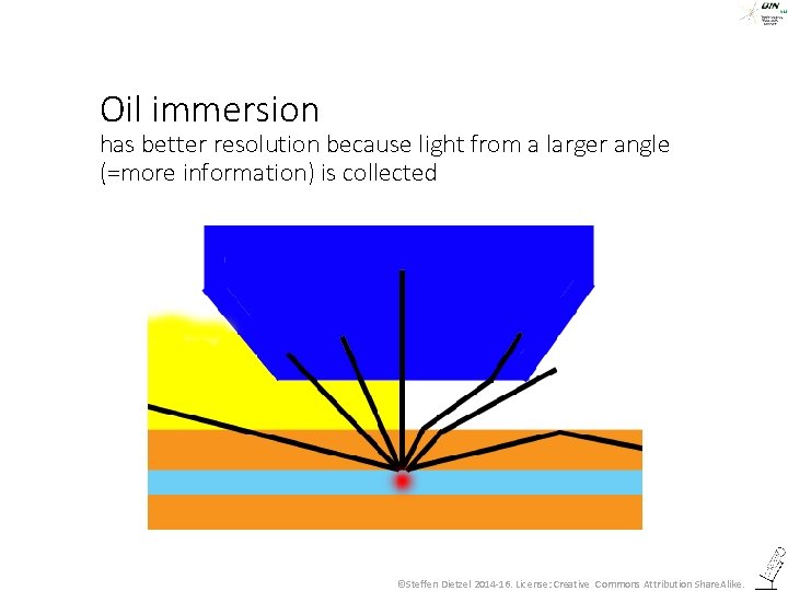 Oil immersion has better resolution because light from a larger angle (=more information) is