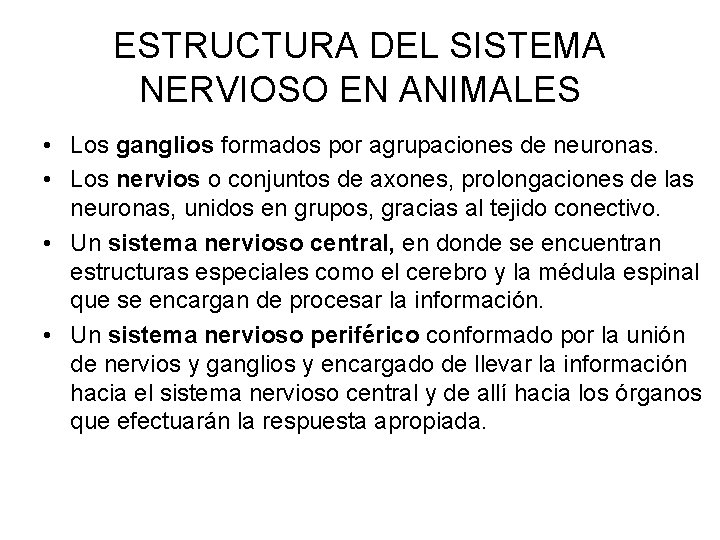 ESTRUCTURA DEL SISTEMA NERVIOSO EN ANIMALES • Los ganglios formados por agrupaciones de neuronas.