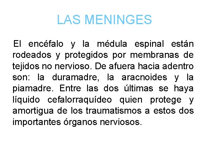 LAS MENINGES El encéfalo y la médula espinal están rodeados y protegidos por membranas