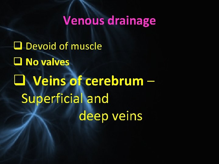 Venous drainage q Devoid of muscle q No valves q Veins of cerebrum –