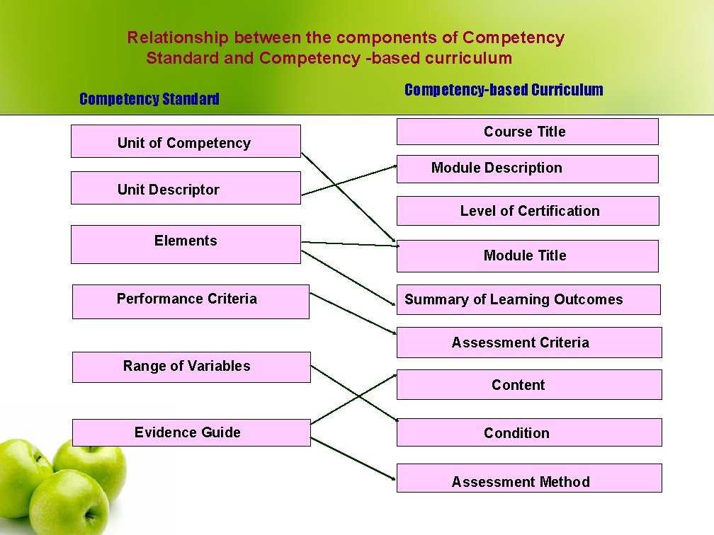 Relationship between the components of Competency Standard and Competency -based curriculum Competency Standard Unit