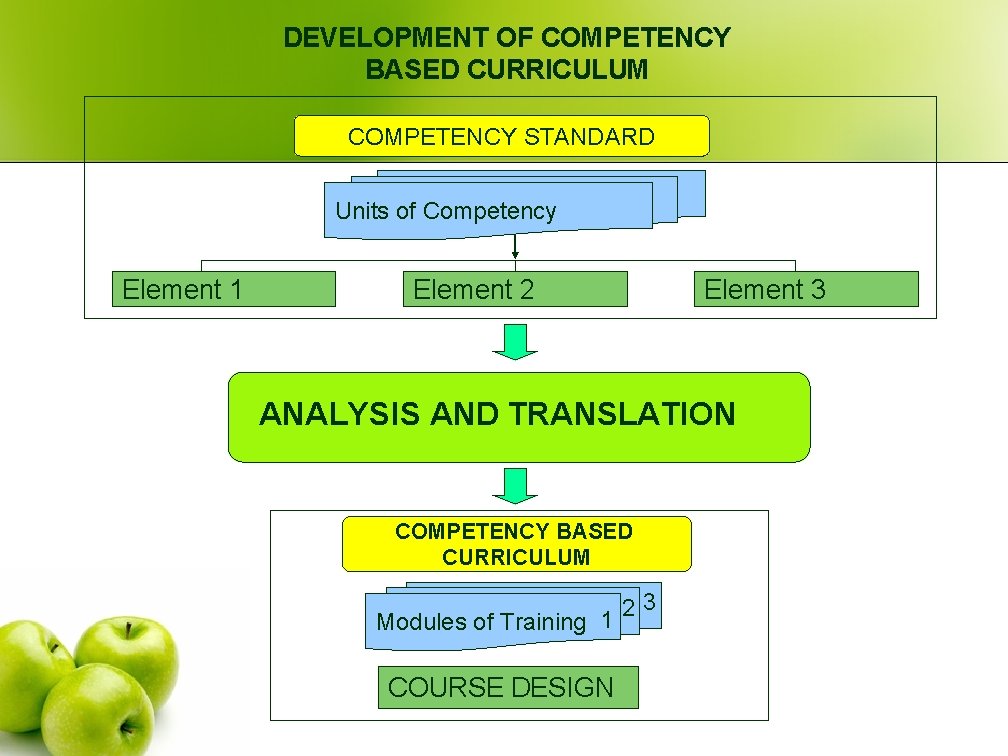 DEVELOPMENT OF COMPETENCY BASED CURRICULUM COMPETENCY STANDARD Units of Competency Element 1 Element 2