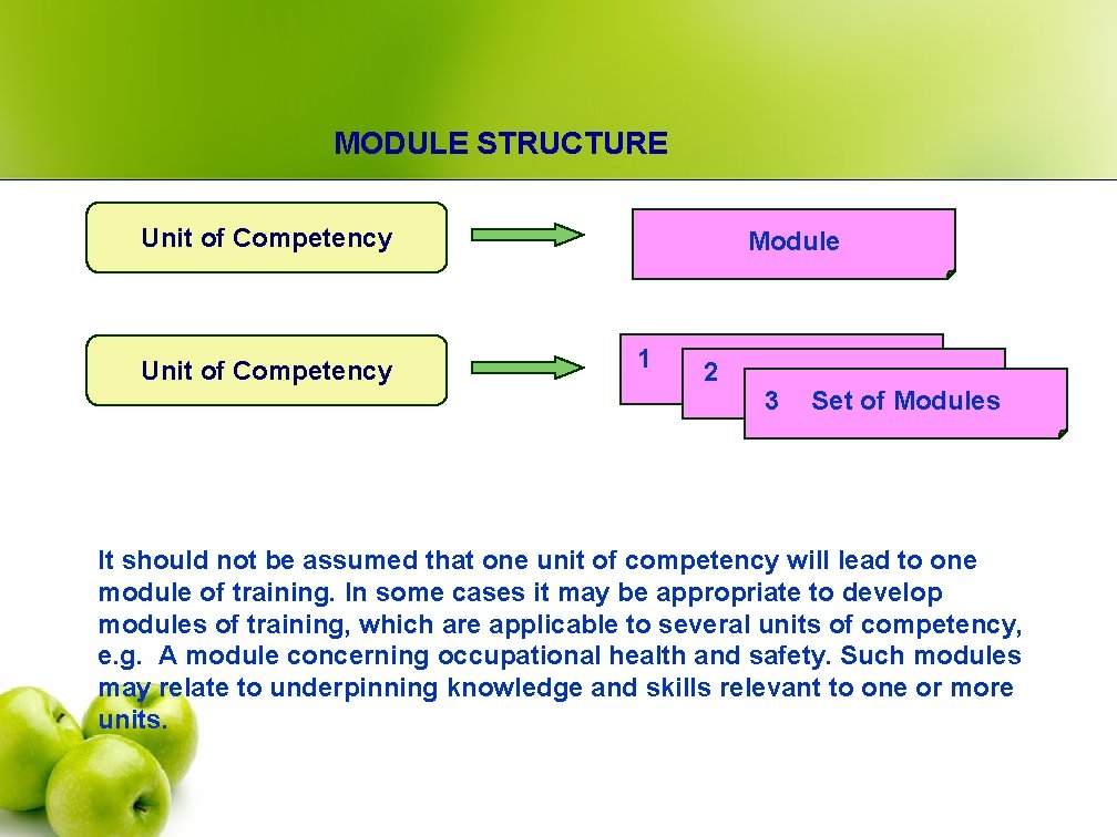 MODULE STRUCTURE Unit of Competency Module 1 2 Module 3 Set of Modules It
