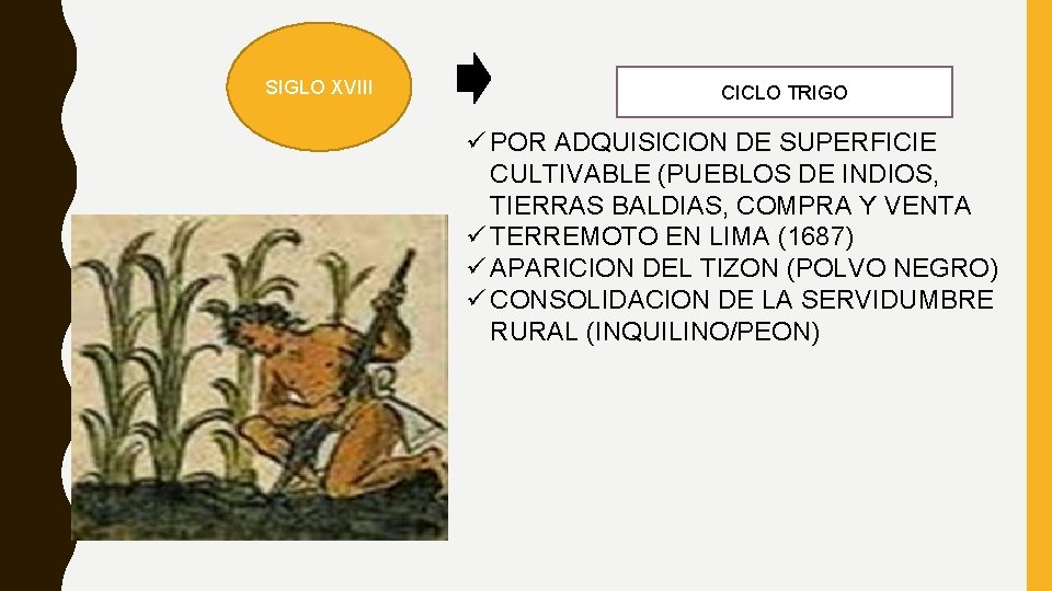 SIGLO XVIII CICLO TRIGO ü POR ADQUISICION DE SUPERFICIE CULTIVABLE (PUEBLOS DE INDIOS, TIERRAS