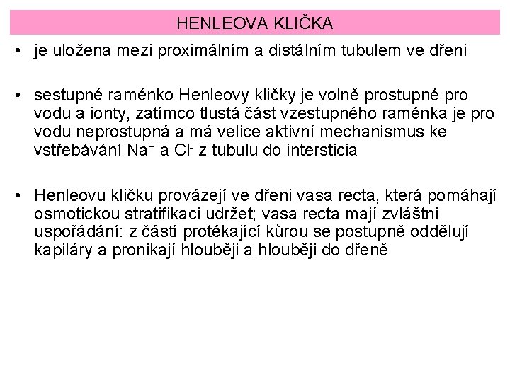 HENLEOVA KLIČKA • je uložena mezi proximálním a distálním tubulem ve dřeni • sestupné