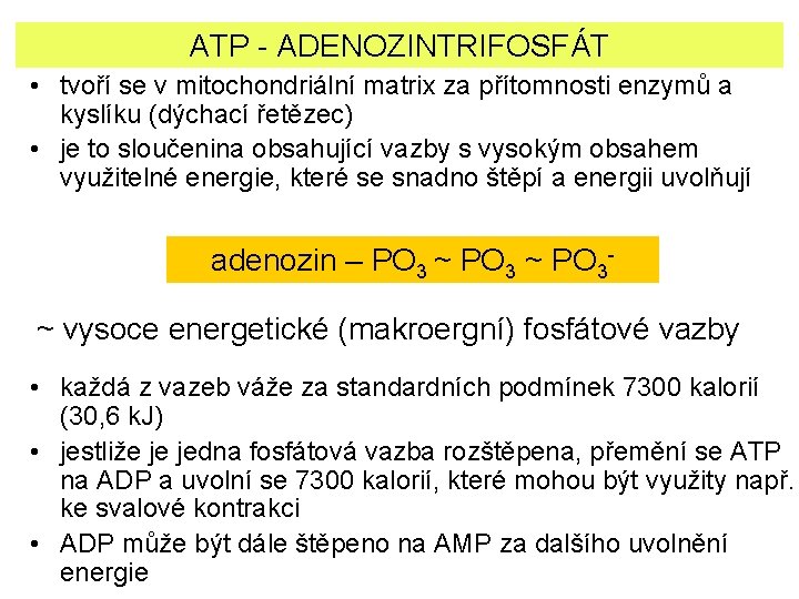 ATP - ADENOZINTRIFOSFÁT • tvoří se v mitochondriální matrix za přítomnosti enzymů a kyslíku