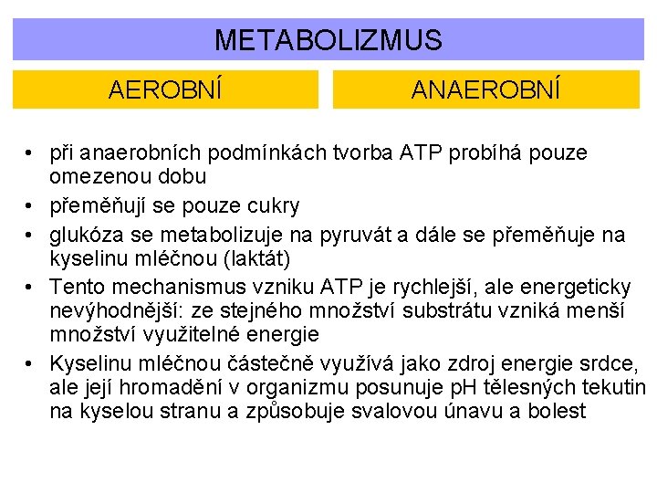 METABOLIZMUS AEROBNÍ ANAEROBNÍ • při anaerobních podmínkách tvorba ATP probíhá pouze omezenou dobu •
