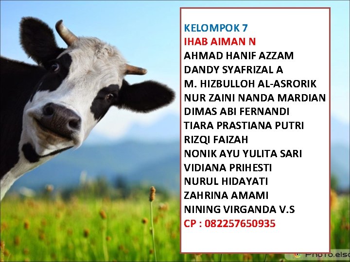  KELOMPOK 7 IHAB AIMAN N AHMAD HANIF AZZAM DANDY SYAFRIZAL A M. HIZBULLOH