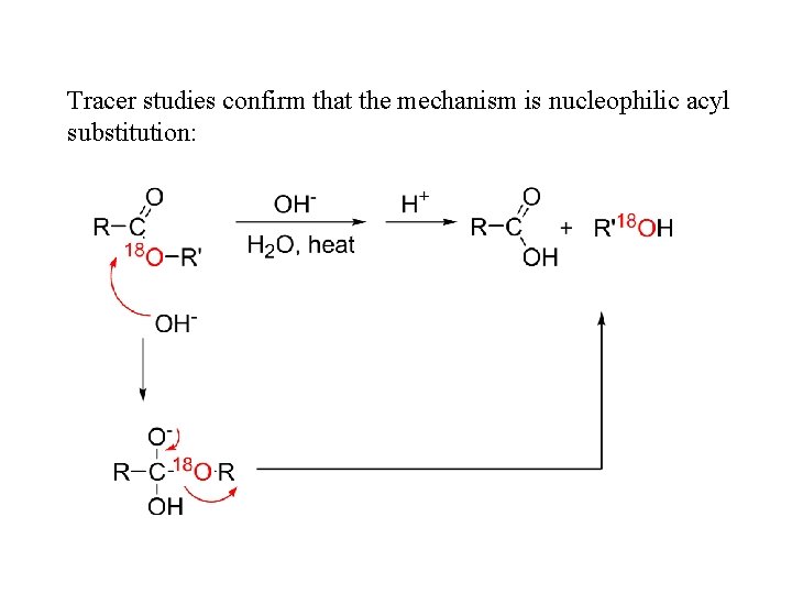 Tracer studies confirm that the mechanism is nucleophilic acyl substitution: 