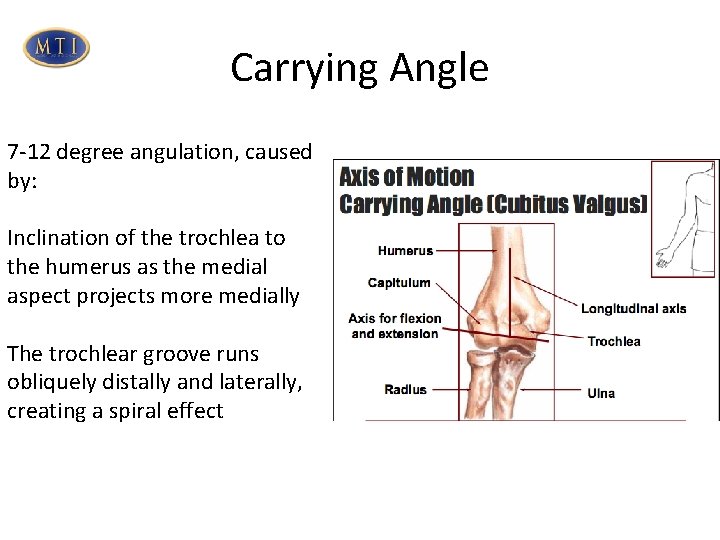 Carrying Angle 7 -12 degree angulation, caused by: Inclination of the trochlea to the