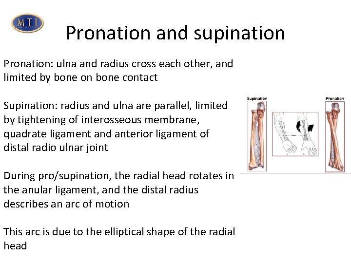 Pronation and supination Pronation: ulna and radius cross each other, and limited by bone Pronation and supination Pronation: ulna and radius cross each other, and limited by bone
