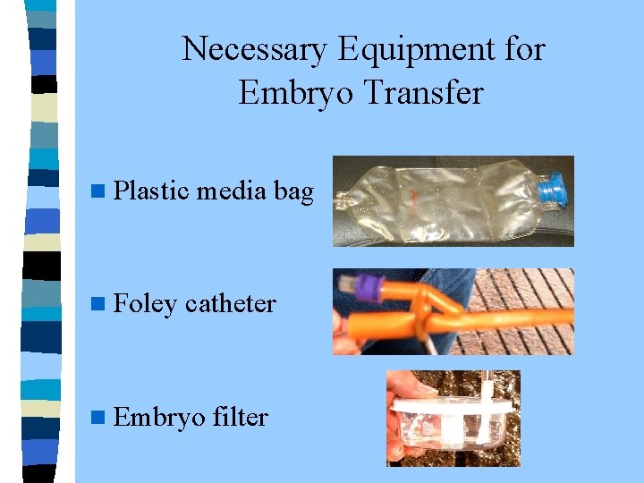  Necessary Equipment for Embryo Transfer n Plastic media bag n Foley catheter n